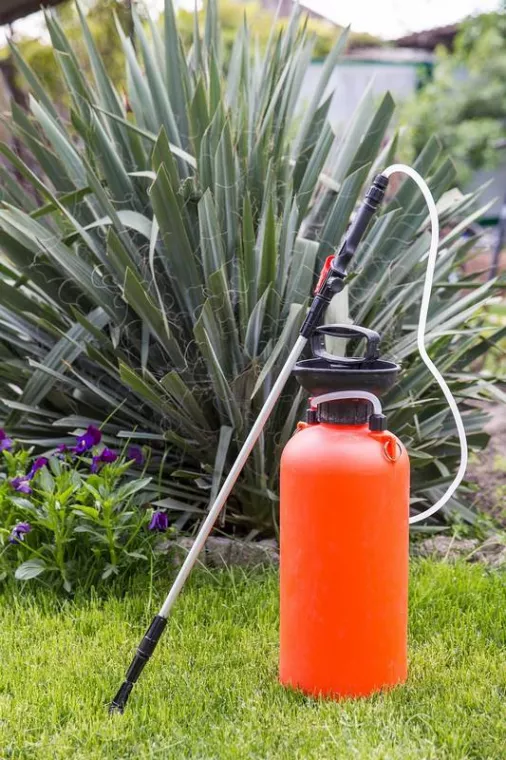 Quel produit utiliser pour éliminer les mauvaises herbes dans une cour privée d'immeuble ?, Carqueiranne, Les Jardins d'Adrien